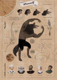 Werewolf Infographic Poster