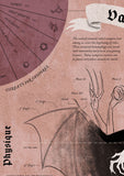 Vampire Infographic Poster