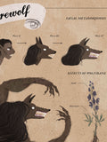 Werewolf Infographic Poster
